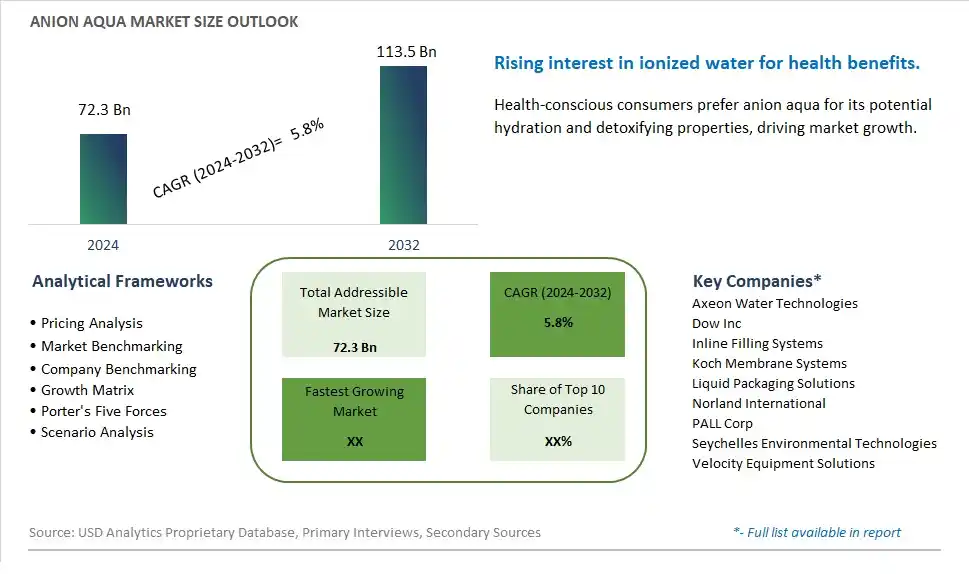 Anion Aqua Market Size, Share, Trends, Growth Outlook