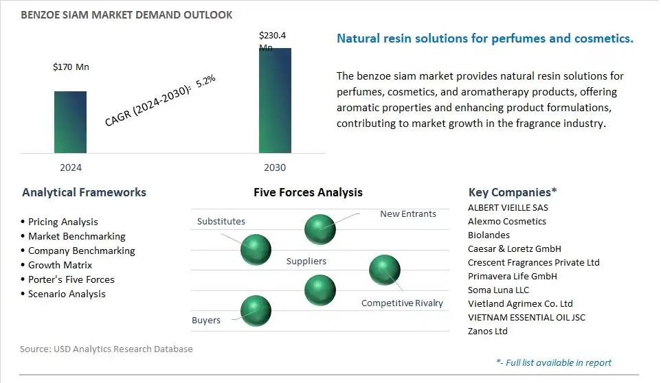 Benzoe Siam Industry- Market Size, Share, Trends, Growth Outlook