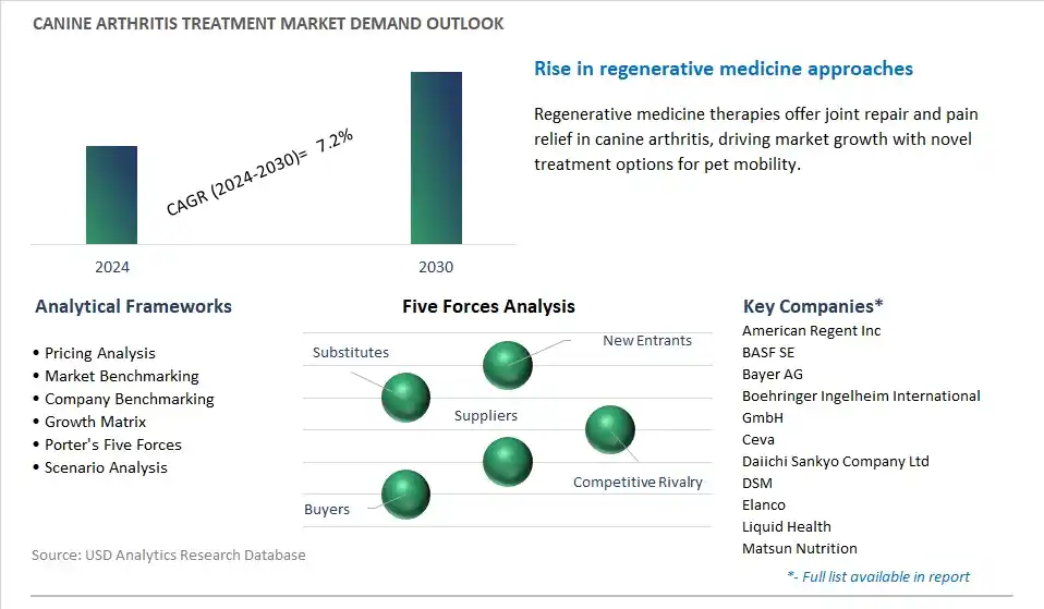 Canine Arthritis Treatment Industry- Market Size, Share, Trends, Growth Outlook