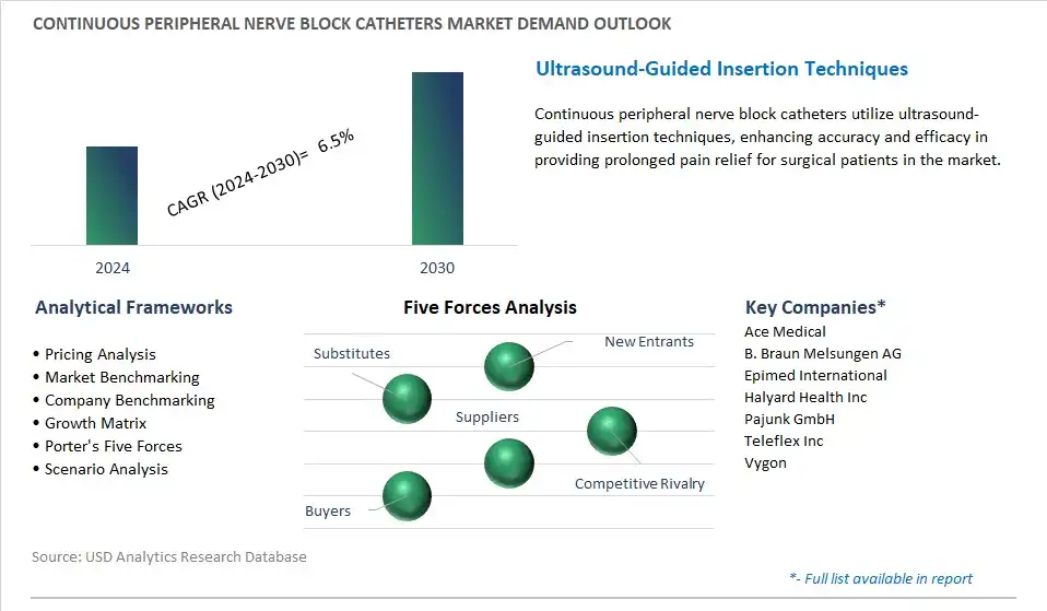 Continuous Peripheral Nerve Block Catheters Market Demand and Growth ...