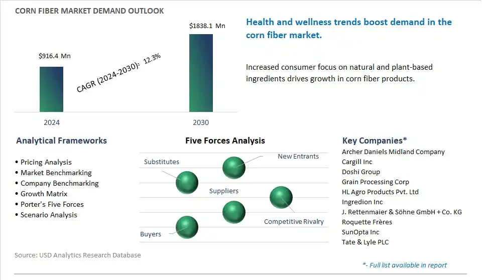 Corn Fiber Market- Industry Size, Share, Trends, Growth Outlook