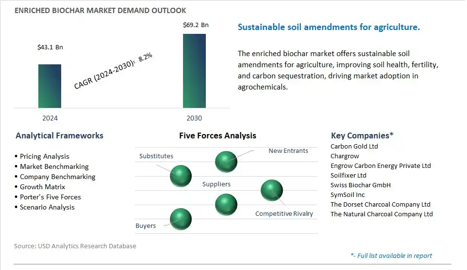 Enriched Biochar Industry- Market Size, Share, Trends, Growth Outlook