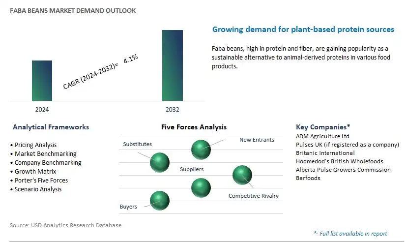Faba Beans Industry- Market Size, Share, Trends, Growth Outlook