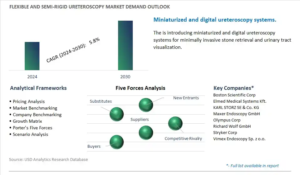 Flexible and Semi-rigid Ureteroscopy Industry- Market Size, Share, Trends, Growth Outlook
