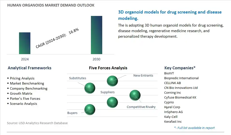Human Organoids Industry- Market Size, Share, Trends, Growth Outlook