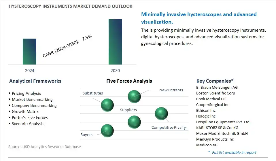 Hysteroscopy Instruments Industry- Market Size, Share, Trends, Growth Outlook