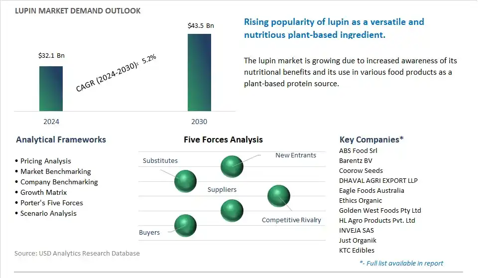 Lupin Market- Industry Size, Share, Trends, Growth Outlook