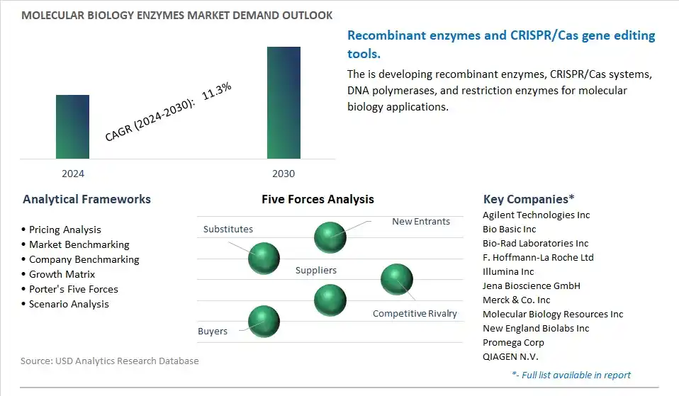 Molecular Biology Enzymes Industry- Market Size, Share, Trends, Growth Outlook