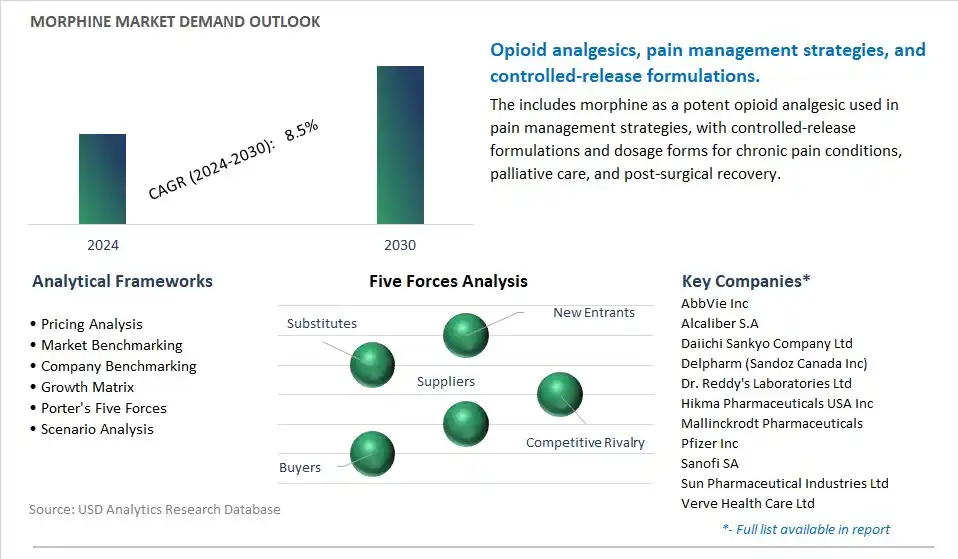 Morphine Industry- Market Size, Share, Trends, Growth Outlook