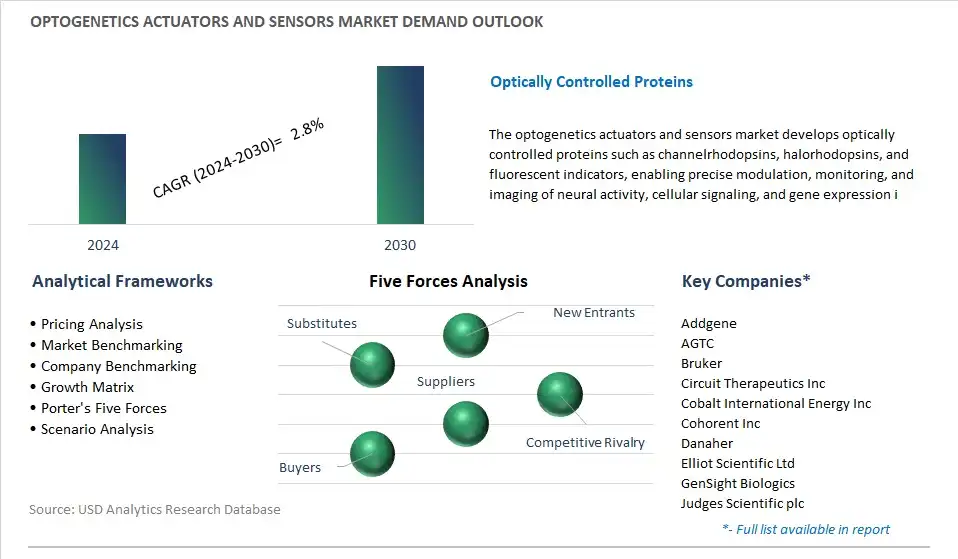 Optogenetics Actuators and Sensors Industry- Market Size, Share, Trends, Growth Outlook