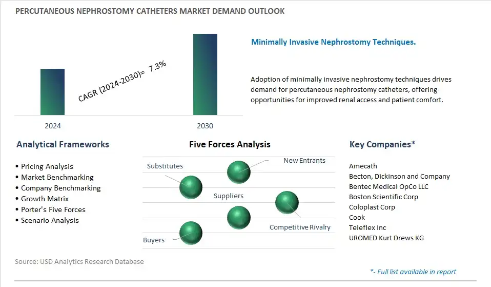 Percutaneous Nephrostomy Catheters Industry- Market Size, Share, Trends, Growth Outlook
