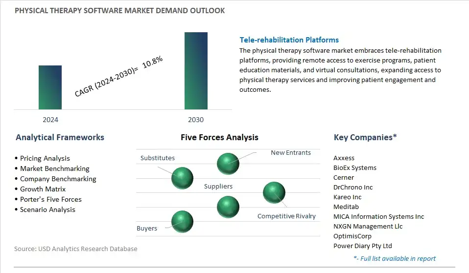 Physical Therapy Software Industry- Market Size, Share, Trends, Growth Outlook