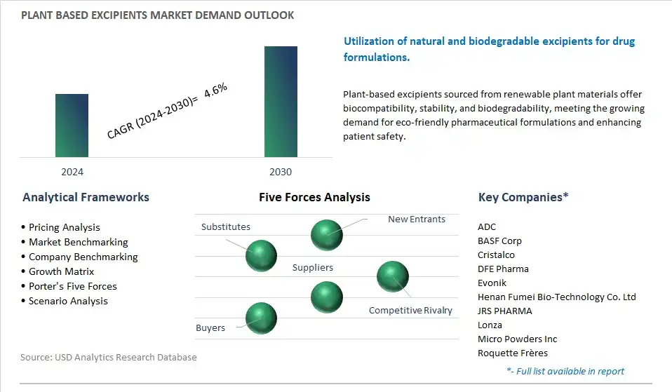 Plant based Excipients Industry- Market Size, Share, Trends, Growth Outlook