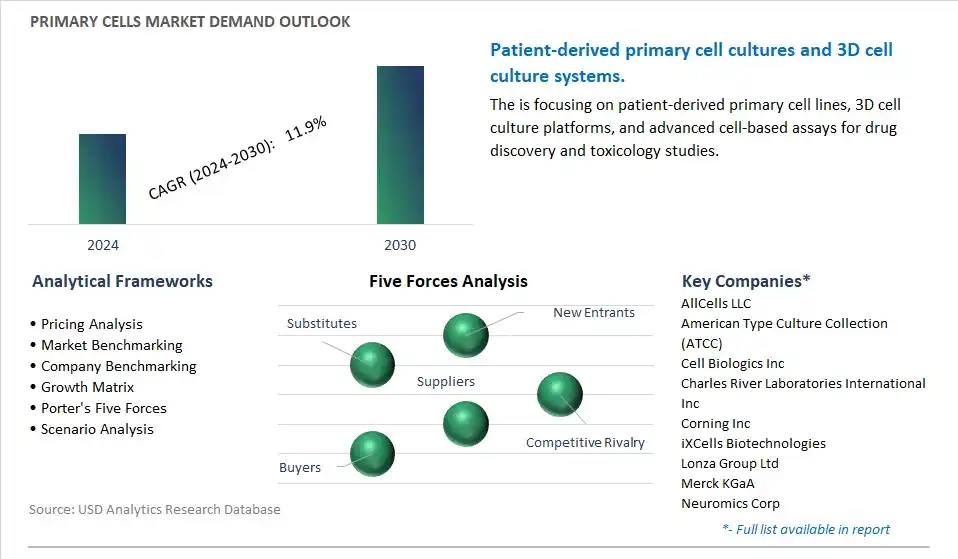 Primary Cells Industry- Market Size, Share, Trends, Growth Outlook