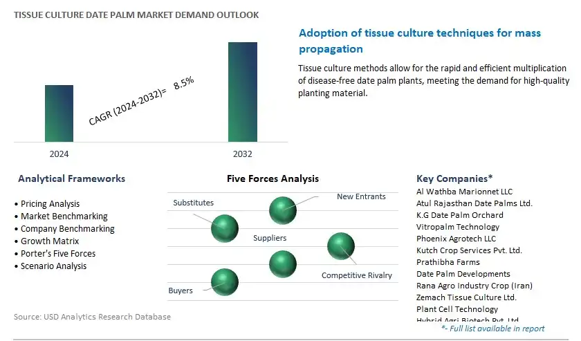 Tissue Culture Date Palm Industry- Market Size, Share, Trends, Growth Outlook