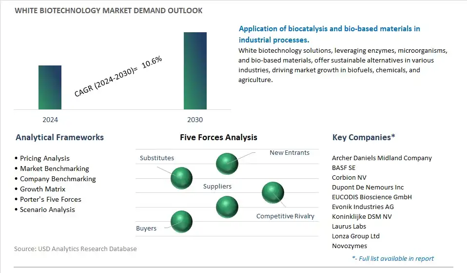 White Biotechnology Industry- Market Size, Share, Trends, Growth Outlook